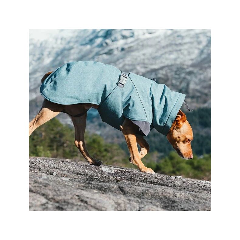 Hurtta Expedition Parka - Bilberry