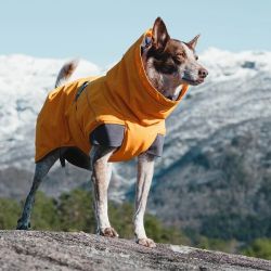 Hurtta Expedition Parka - Buckthorn