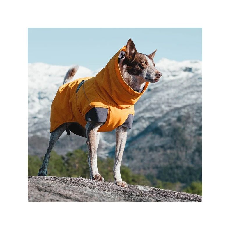 Hurtta Expedition Parka - Buckthorn