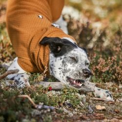 Hurtta ECO Warming Midlayer hundejakke