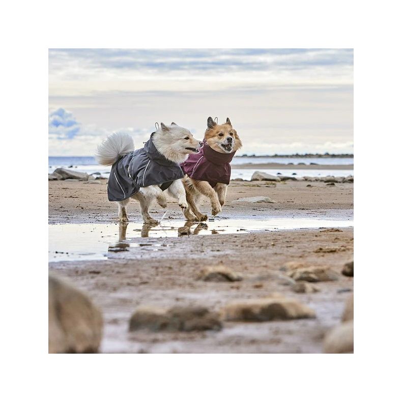 Hurtta Rainwear Mudventure Coat - Blackberry / Grlig