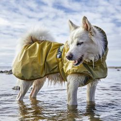 Hurtta Rainwear Mudventure Reflective Coat - Turmeric