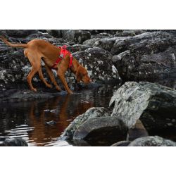 Hurtta Weekend Warrior ECO Sele - Hedge / Stvgrn