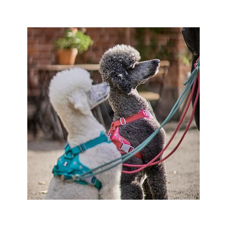 Hurtta Weekend Warrior Sele - Ruby / Pink