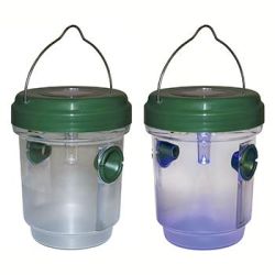 Hvepseflde med solcelle og lys - 2 stk