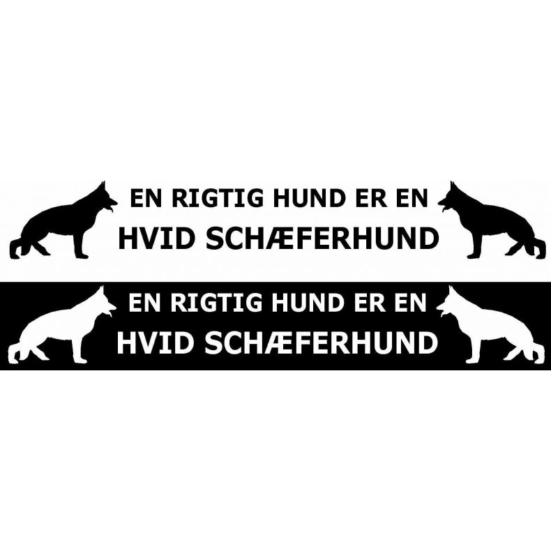 En rigtig hund er en hvid schferhund