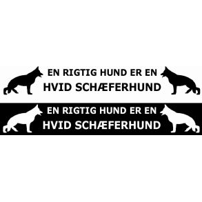 Streamer - en rigtig hund er en hvid schferhund