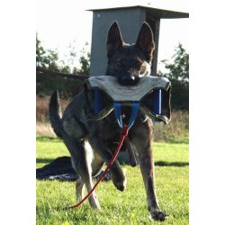 Julius K9 Bidestyr, hrd