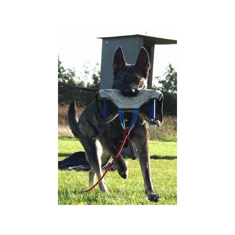 Julius K9 Bidestyr, hrd