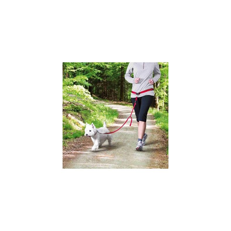 Joggingline /-Blte - 60-130 cm