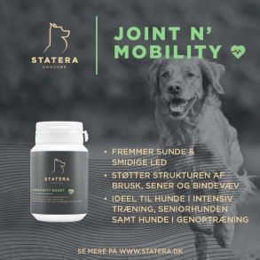 Statera - Joint N' Mobility