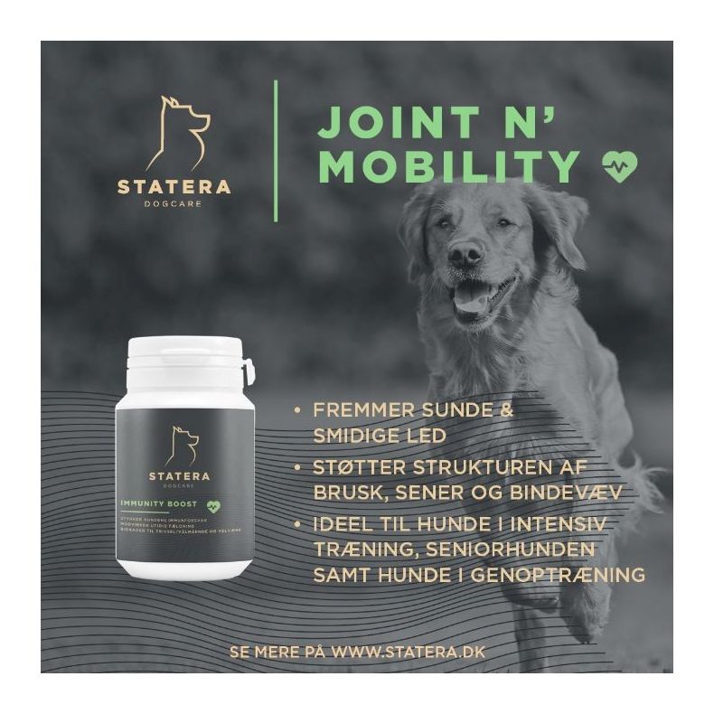Statera - Joint N' Mobility