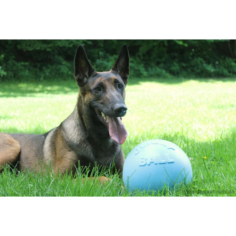 Jolly Pets Bounce-n-Play