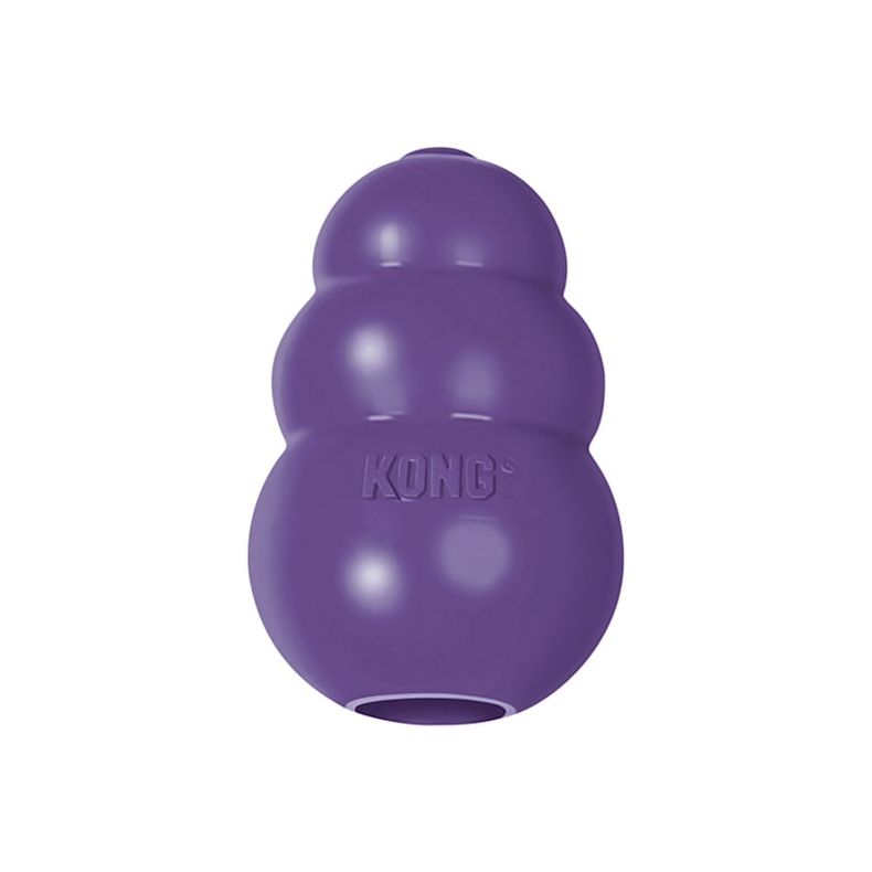 Kong Senior