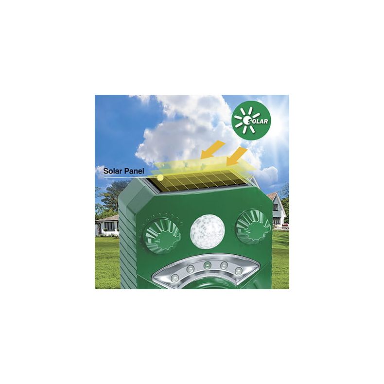 Katteskr�mmer Ryom Solar Blitz