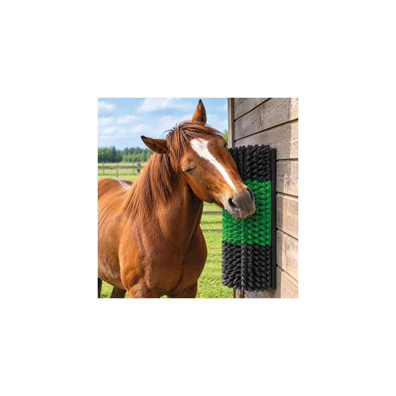 Kl�b�rste gr�n/sort 43 x 30cm  / NYHED - KOMMER P� LAGER FOR�R 2027