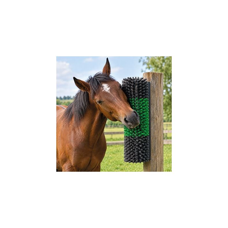 Kl�b�rste gr�n/sort 43 x 20cm  / NYHED - KOMMER P� LAGER FOR�R 2027