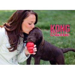 Kong Classic