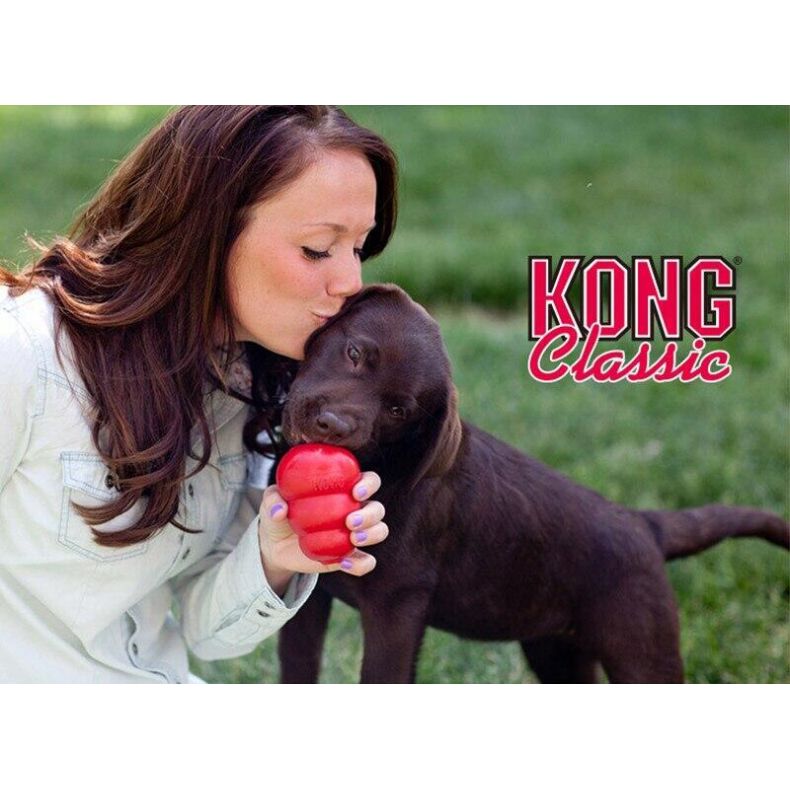 Kong Classic