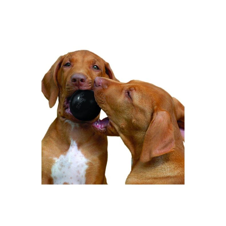 Kong Extreme Ball -  6 cm