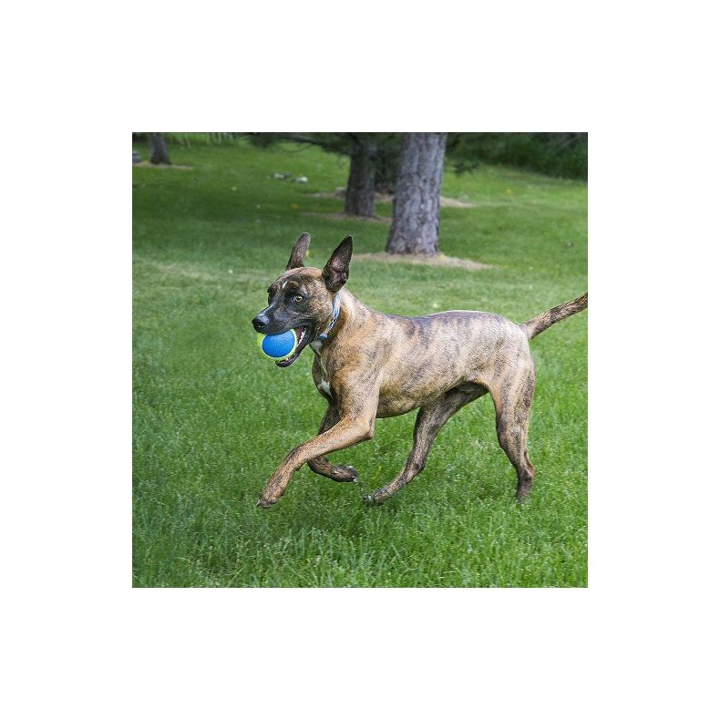 Kong Airdog Squeaker Ultra Ball