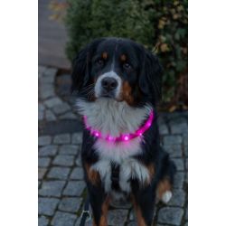 Lyshalsb�nd - Flash lysring USB - Silicone M-L 50 cm/ 30 mm - Pink