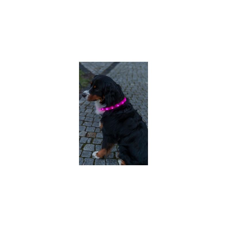 Lyshalsb�nd - Flash lysring USB - Silicone M-L 50 cm/ 30 mm - Pink