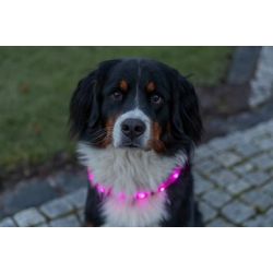 Lyshalsb�nd - Flash lysring USB - Silicone M-L 50 cm/ 30 mm - Pink