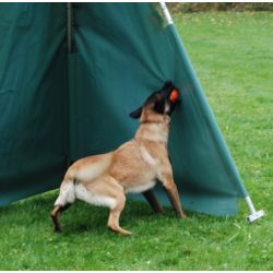 Magnet bold - TOP03 -  6,8 cm