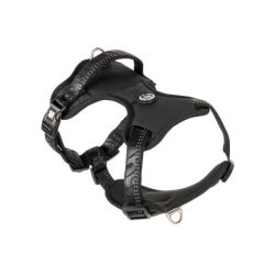 Max &amp; Molly Matrix 2.0 Neopren Sport Sele - Sort