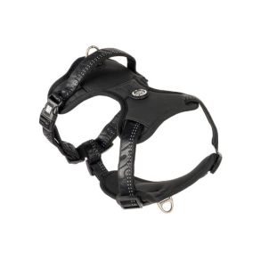 Max & Molly Matrix 2.0 Neopren Sport Sele - Sort