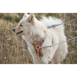 Hurtta Multilong Line - ECO - 100-300 cm / 20 mm