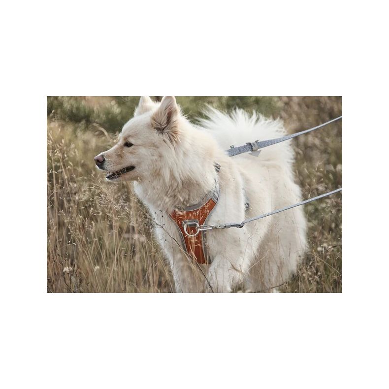 Hurtta Multilong Line - ECO - 100-300 cm / 20 mm