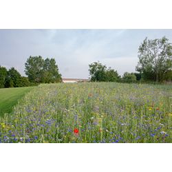 Natur Vildeng - 100 g.