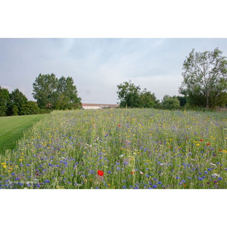 Natur Vildeng - 100 g.
