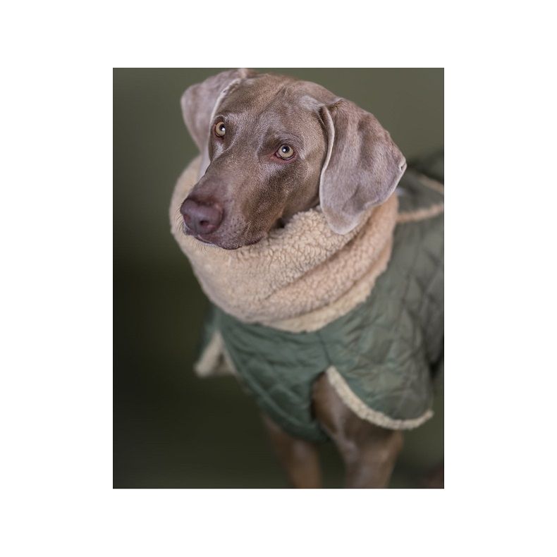 Paikka Quilted Sherpa Jakke, Olive (Leveringstid ca. 7 dage)