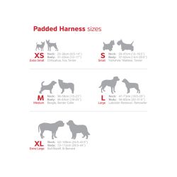 Red Dingo - Polstret sele -QPet