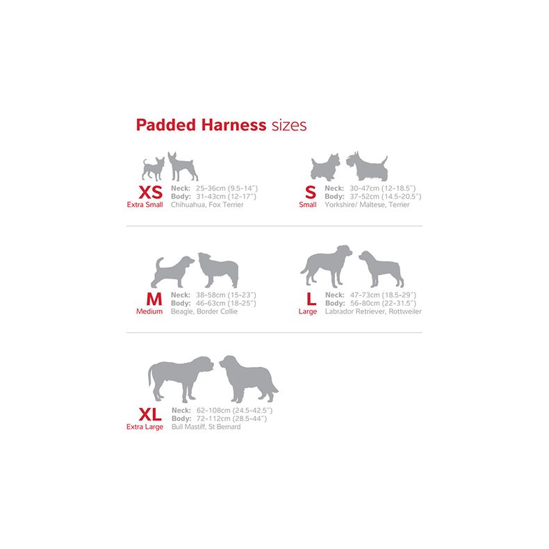 Red Dingo - Polstret sele -QPet