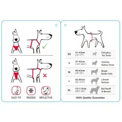 Red Dingo - Polstret sele -QPet