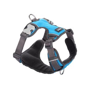 Red Dingo - Polstret sele -QPet