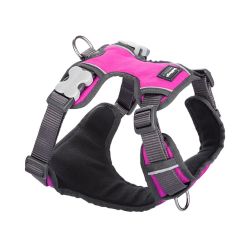 Red Dingo - Polstret sele -QPet