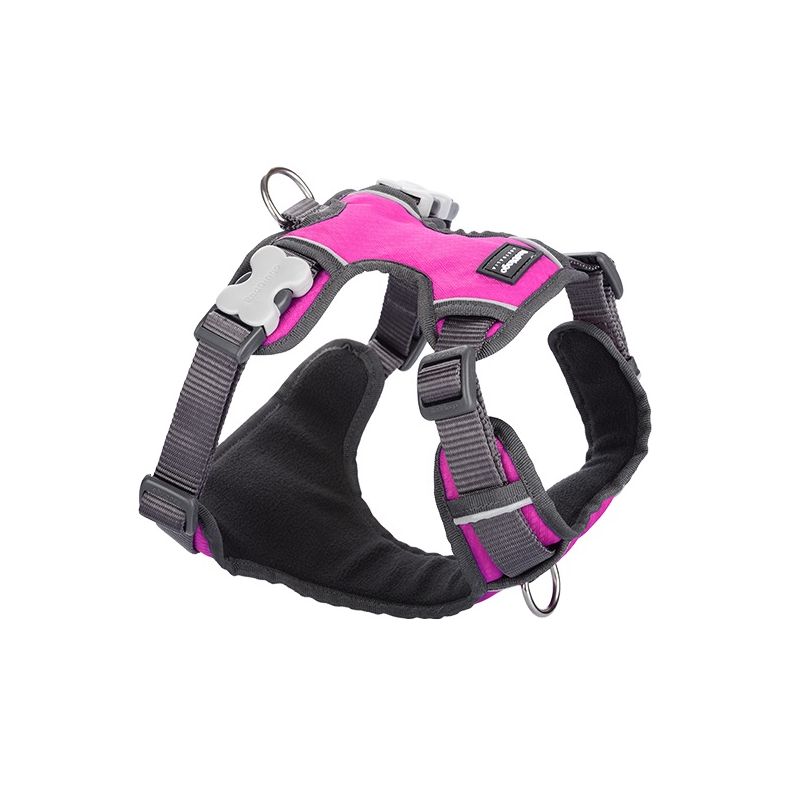 Red Dingo - Polstret sele -QPet