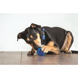 Fred Treat Ball - 6,4CM