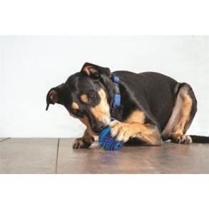 Fred Treat Ball - 6,4CM