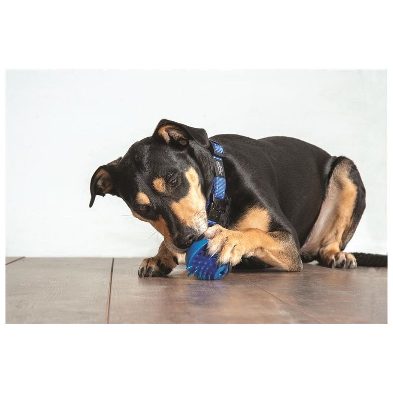 Fred Treat Ball - 6,4CM