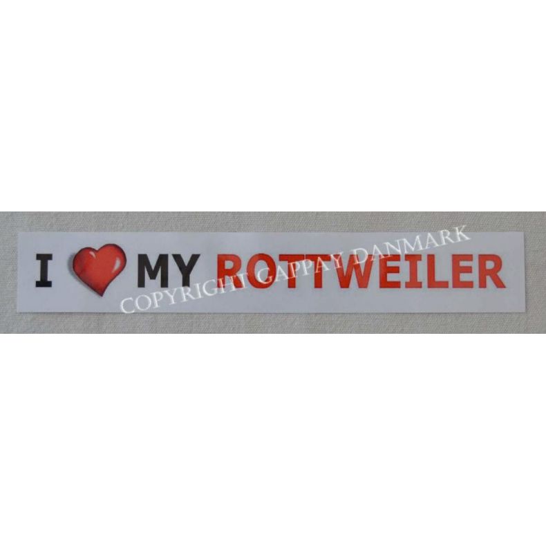 Streamer -I  my Rottweiler