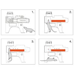 Rotte- Musef�lde Genopl. MK47 (Bestillingsvare)