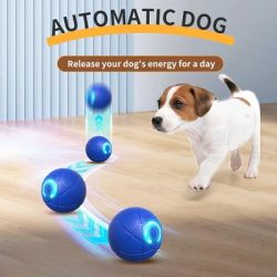 Interaktiv Bold - Bouncing Ball - �5