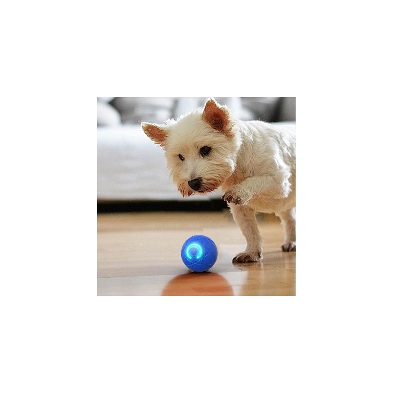 Interaktiv Bold - Bouncing Ball - �5