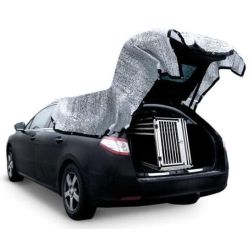 Solafskrming / Silverdug